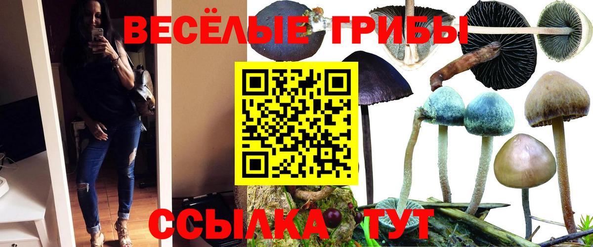 Гашиш Назрань