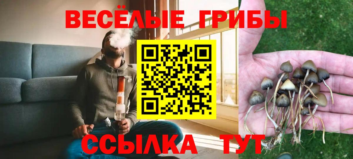 Галлюциногенные грибы ЛСД  хочу наркоту  Псилоцибиновые грибы MAGIC MUSHROOMS  Назрань  Вход с VPN 